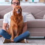 Jak nauczyć psa bycia samemu w domu