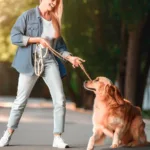 Jak nauczyć psa chodzić na luźnej smyczy?
