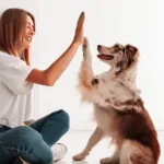 Jak nauczyć psa dawać piątkę