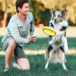 Jak nauczyć psa frisbee