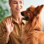 Jak nauczyć psa mówić?