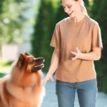 Jak nauczyć psa przychodzenia na zawołanie