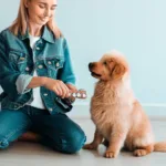 Jak nauczyć psa przycisków