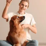 Jak nauczyć psa przynieść