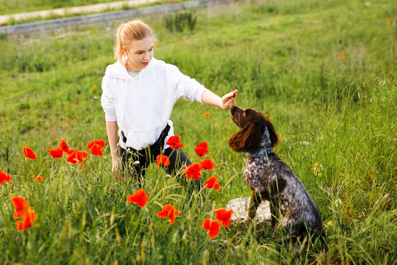 field spaniel na łące trenuje z opiekunką