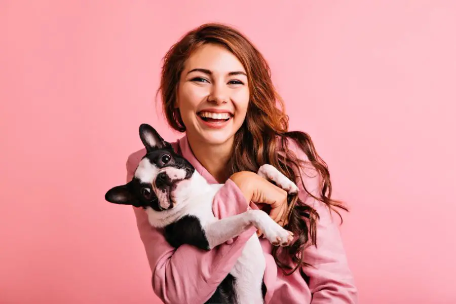 Co z psem na kwarantannie? Petsitter