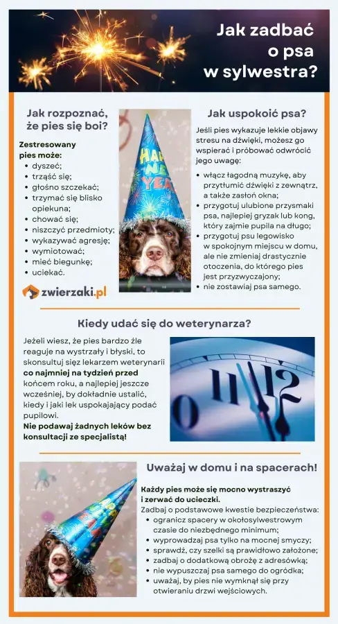 jak uspokoić psa w sylwestra infografika