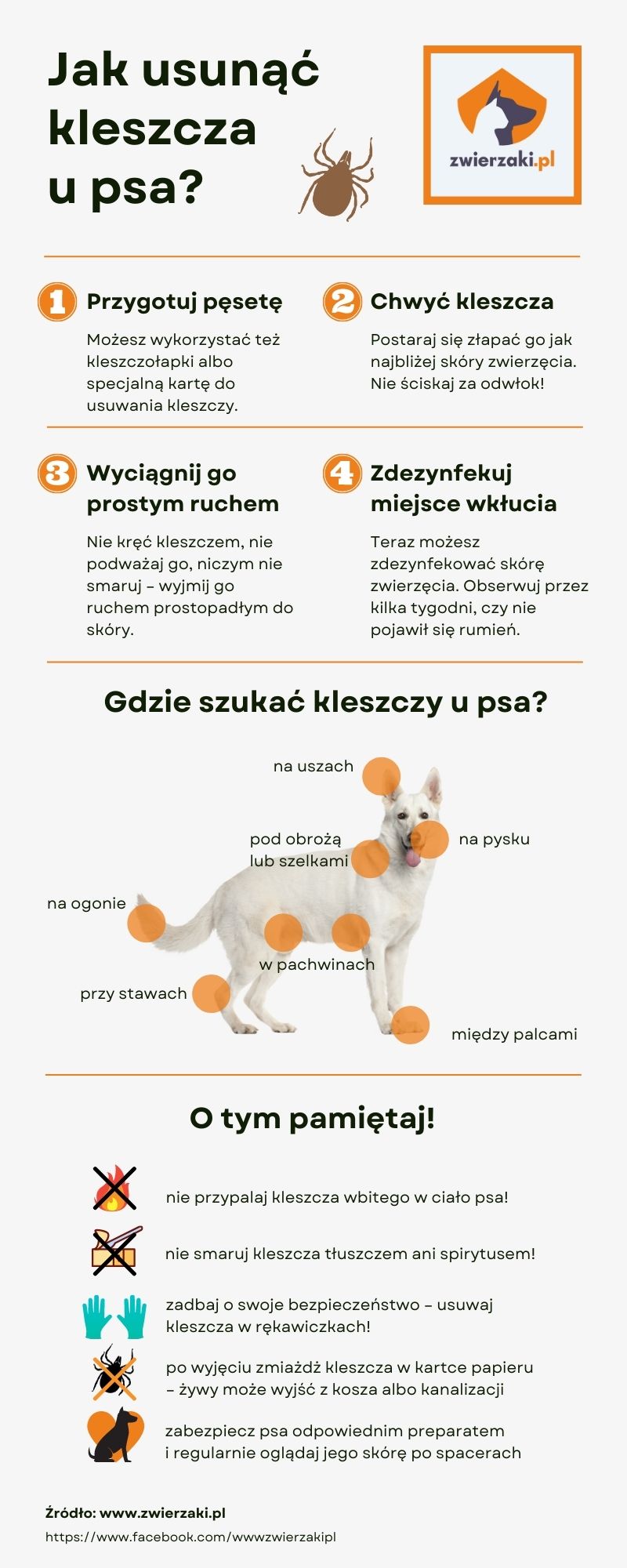 kleszcz u psa jak usunąć kleszcza