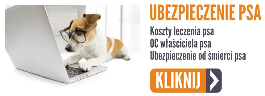 ubezpieczenie psa oferta